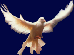La liberté par exellence