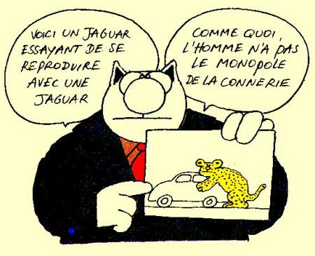 Un Jaguar AOLIEN